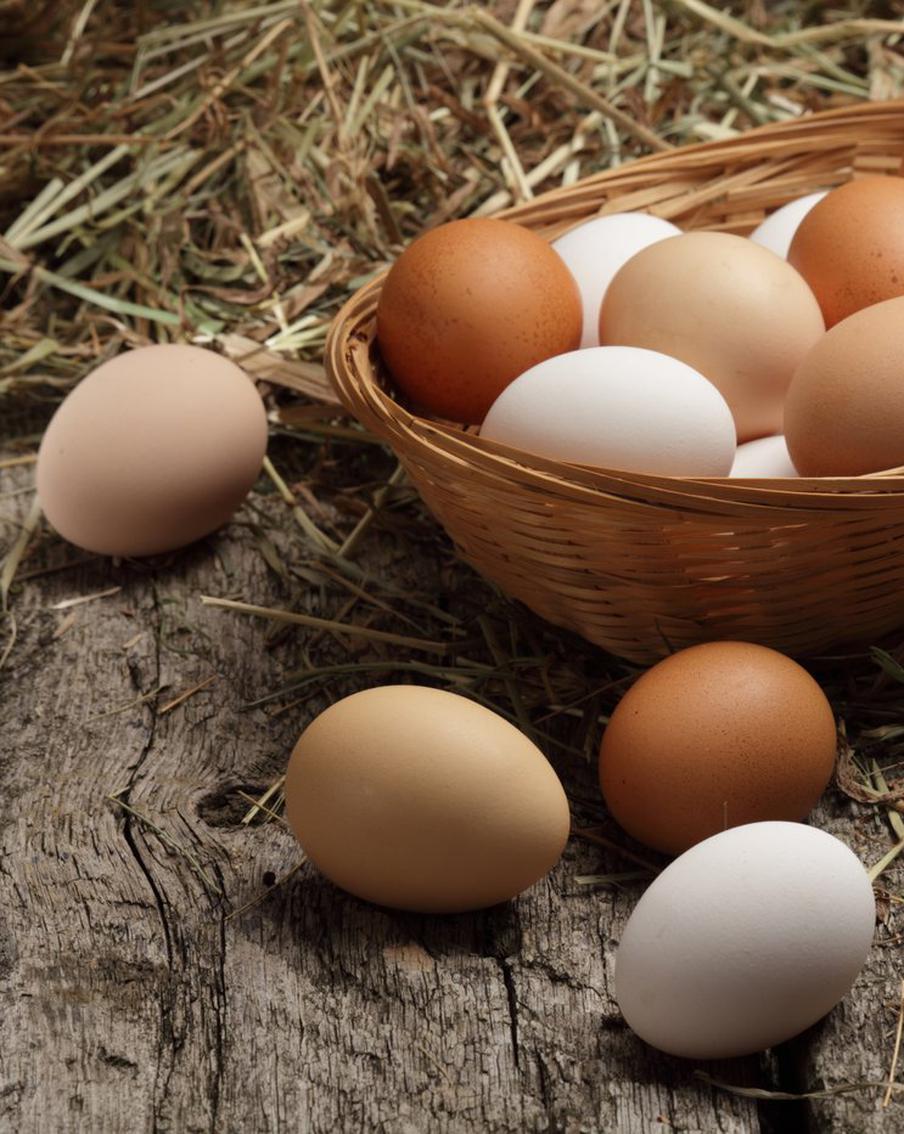 ФАС решила разобраться в вопросе повышения цен на яйца