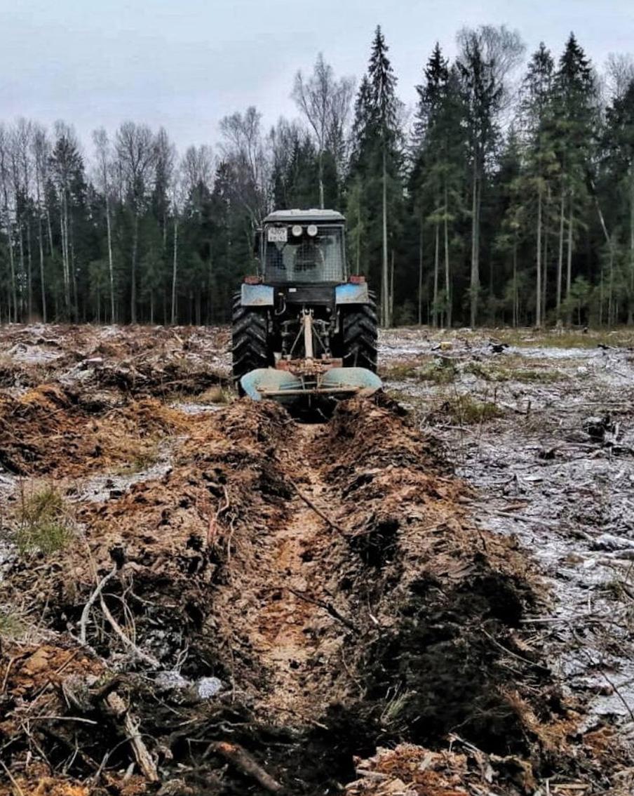 В Подмосковье полностью выполнена подготовка почвы под посадку леса в 2024 году
