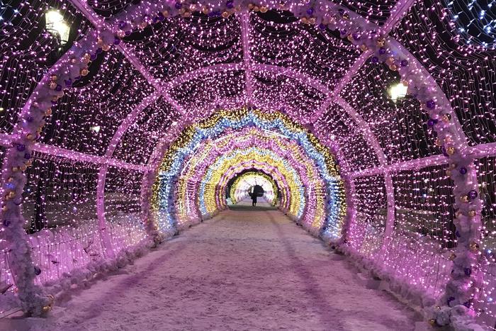 В Москве на Новый год может выпасть снежный покров в 20 сантиметров