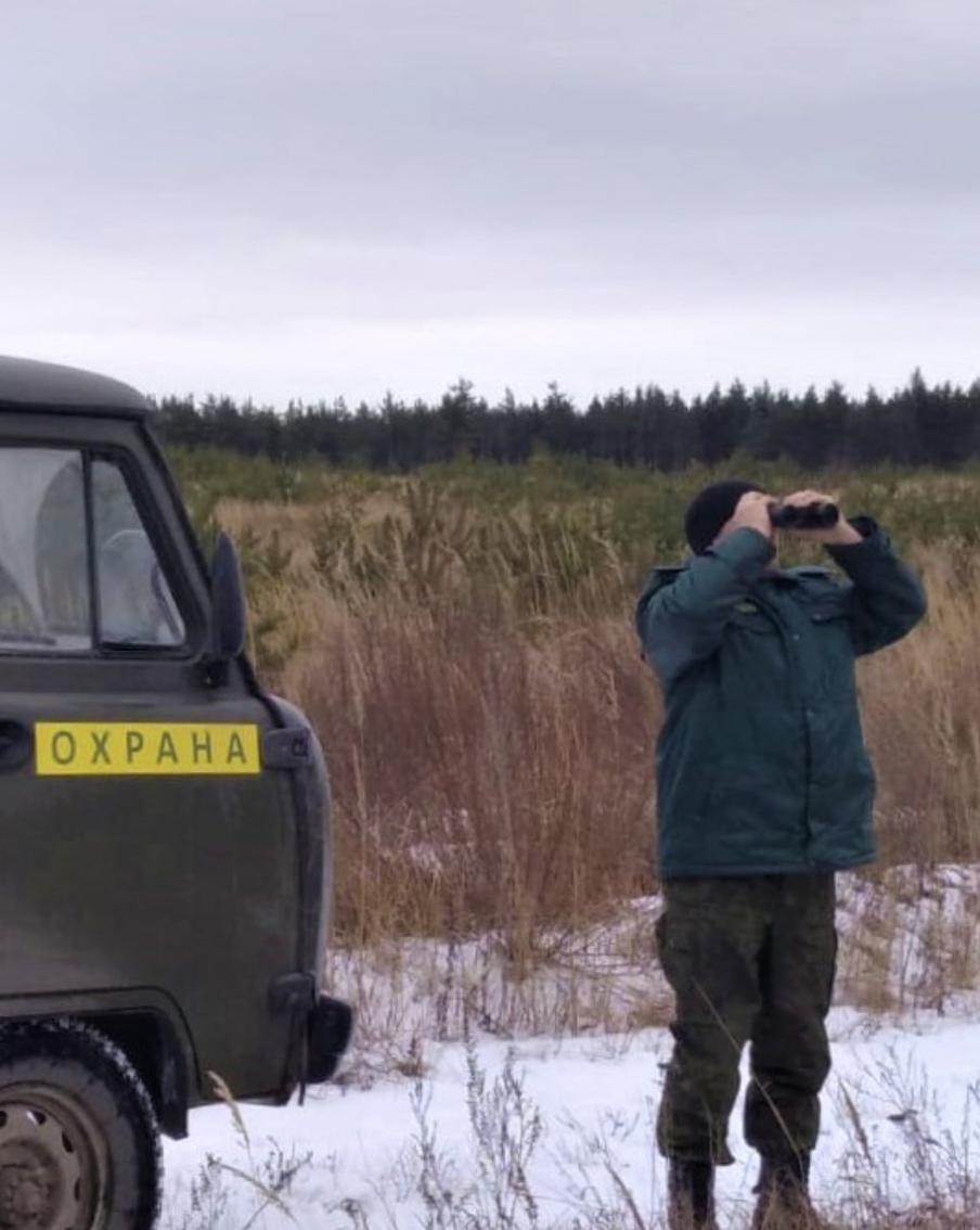 С начала 2023 года в Московской области лесная охрана провела более 42,8 тысячи патрулирований