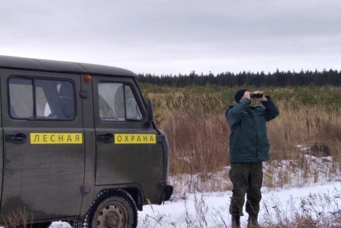 С начала 2023 года в Московской области лесная охрана провела более 42,8 тысячи патрулирований