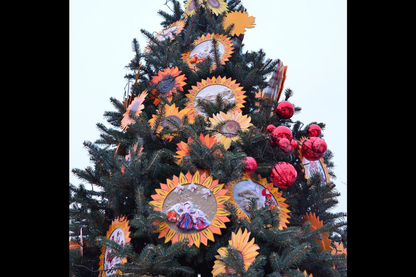 Солнечный Краснодарский край соединил новогоднюю ель и подсолнухи.