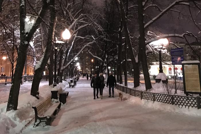 Москвичам и жителям Подмосковья рассказали о погоде в эту пятницу