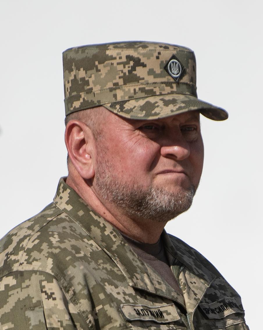 "Ни большой, ни маленький". В Раде призвали к отставке Залужного. Что стало причиной?