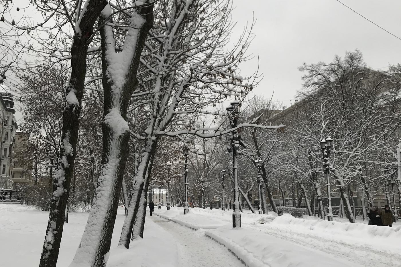 Для уборки снега в Москве дополнительно привлекут до 12 тысяч работников