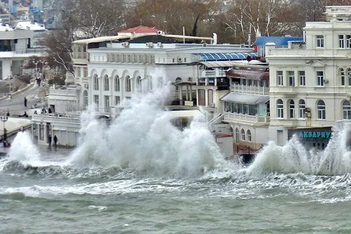 В севастопольском аквариуме шторм убил около 800 пресноводных тропических рыб