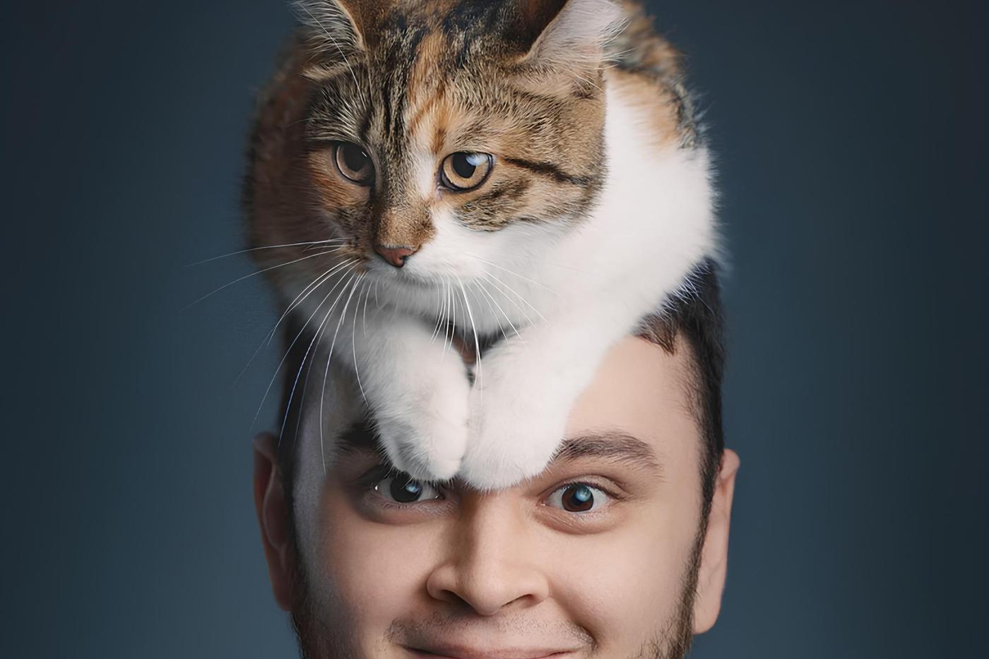 Московский ветеринар втайне спасал животных, которых отдавали на усыпление