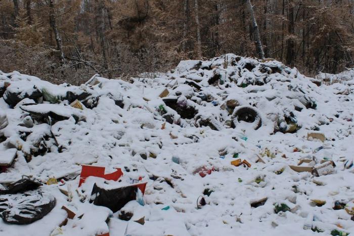 Стало известно, какие городские округа Подмосковья вошли в ТОП-5 по уборке мусора в лесах