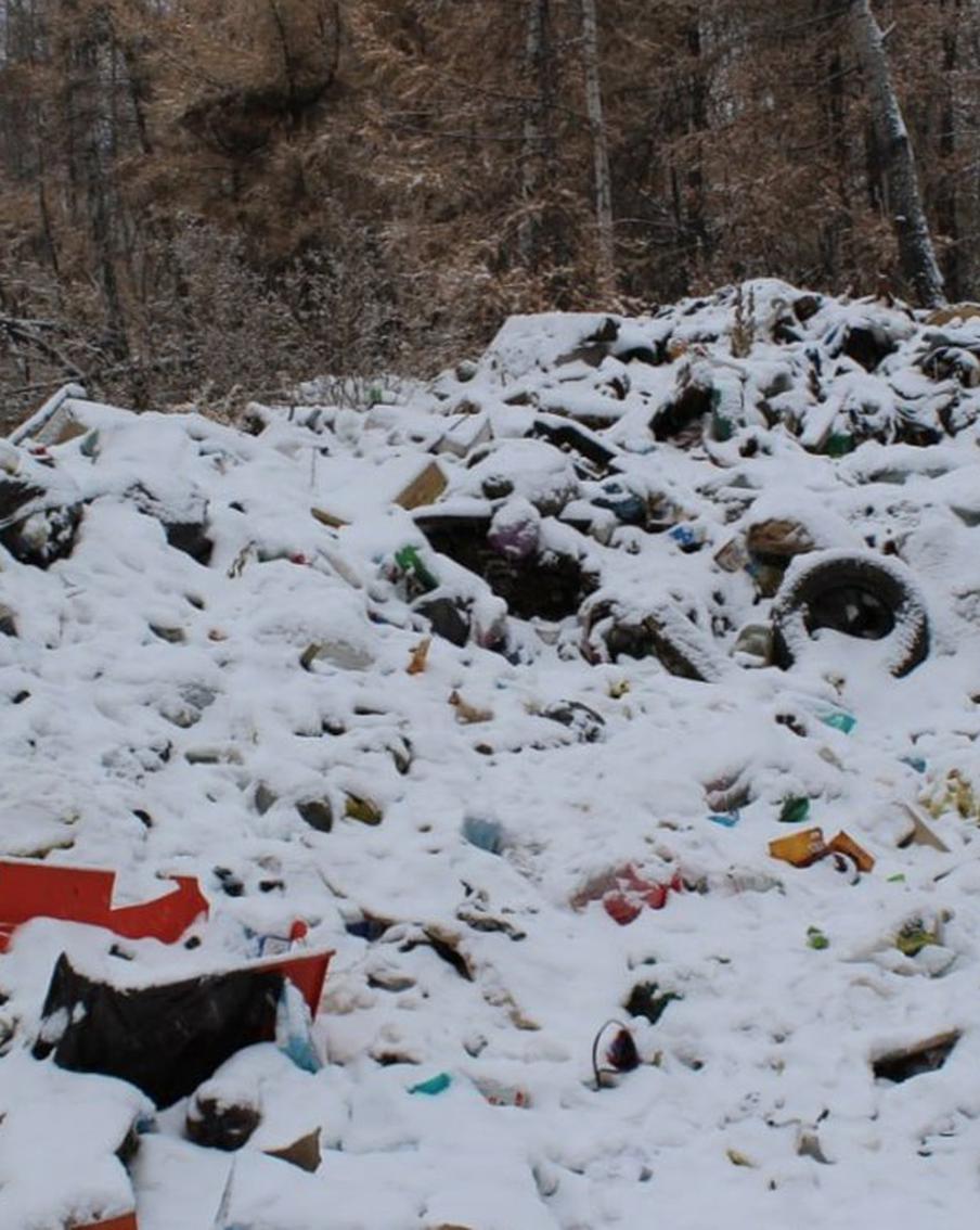 Стало известно, какие городские округа Подмосковья вошли в ТОП-5 по уборке мусора в лесах