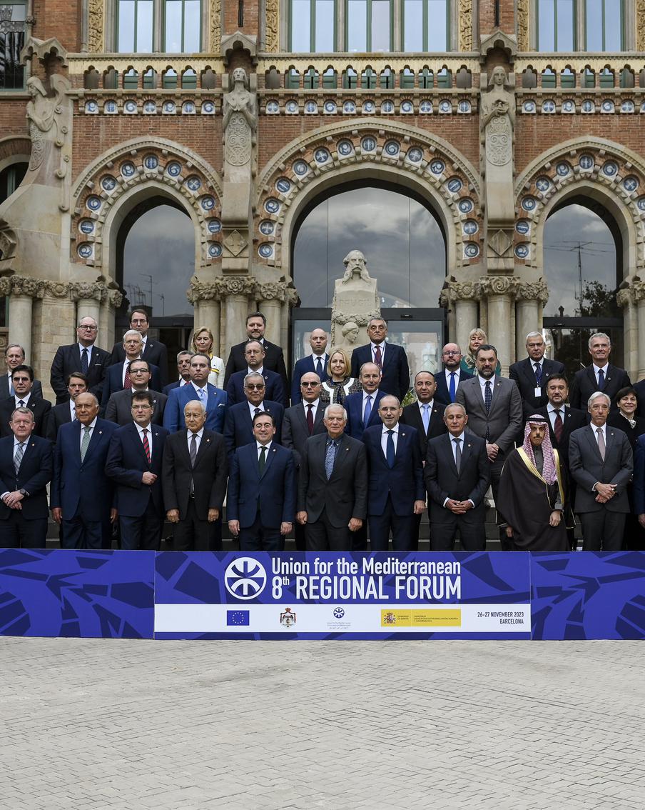 Арабские государства и ЕС согласны с необходимостью решения кризиса в Газе на основе сосуществования двух государств