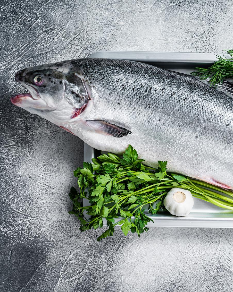 Гендиректор "Инарктики" назвал преимущества отечественного лосося