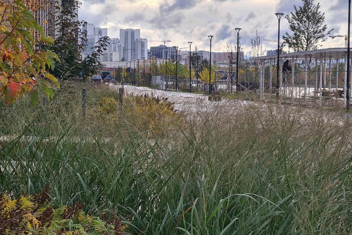 Завершено благоустройство участка набережной затона Новинки в Даниловском районе