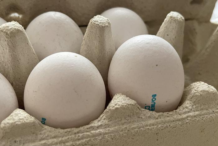 Генпрокуратура заинтересовалась подорожанием яиц