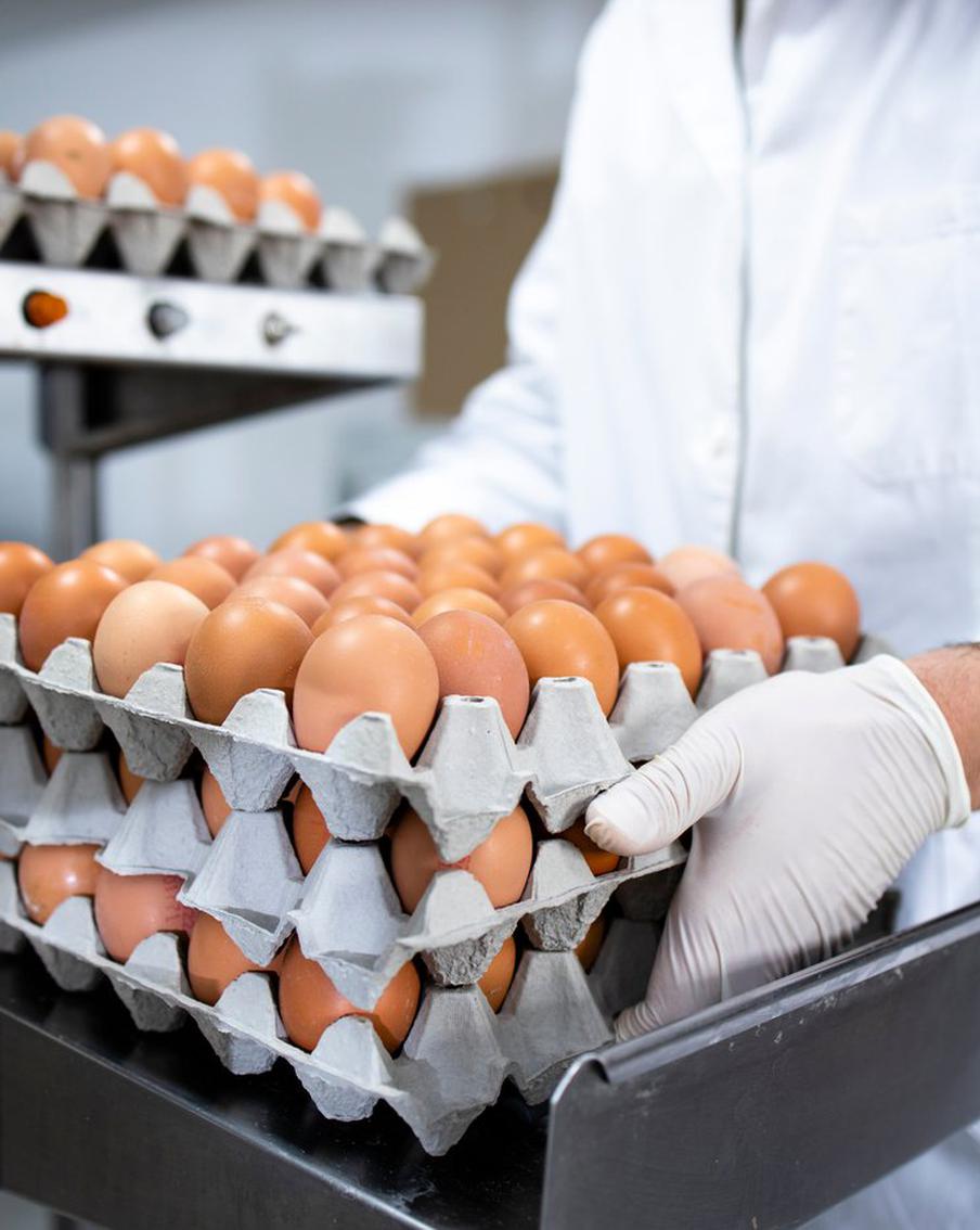 В России подорожали куриные яйца. На сколько?