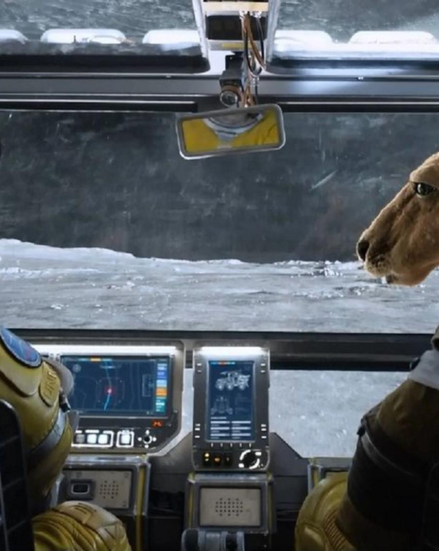 Человек и кенгуру мечтают вместе вернуться на Землю с Луны