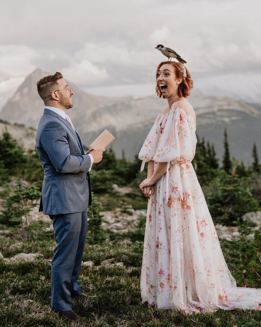 Любопытная сойка, любовь к Человеку-пауку и бесстрашие: выбраны лучшие свадебные фото этого года