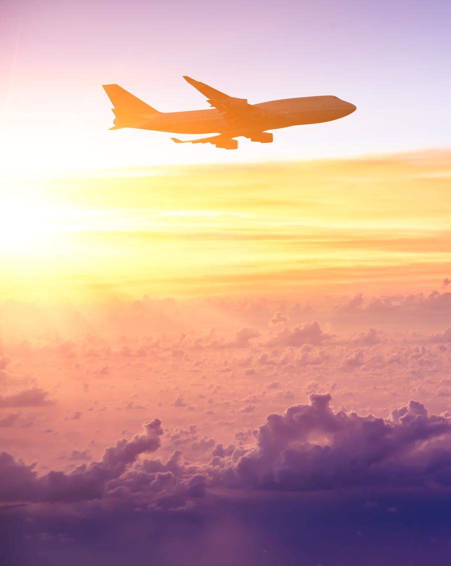 Рейс Uzbekistan Airways экстренно сел в Петербурге из-за буйного пассажира