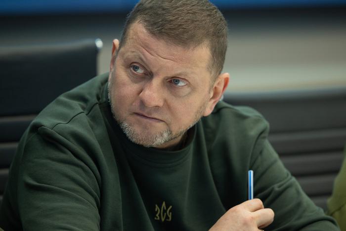 Слова Залужного вызвали обеспокоенность Запада. О чём рассказал главком ВСУ?