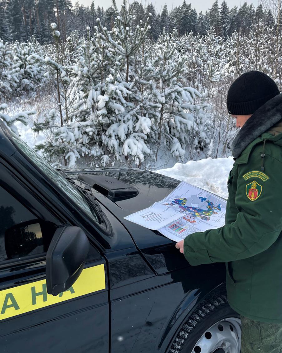 В Московской области за неделю лесная охрана провела 844 патрулирования