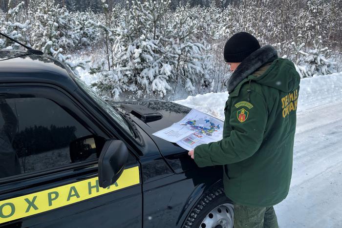 В Московской области за неделю лесная охрана провела 844 патрулирования
