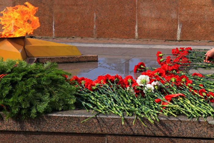 Суд решил выдворить из России закидавших Вечный огонь снегом детей мигрантов и их родителей