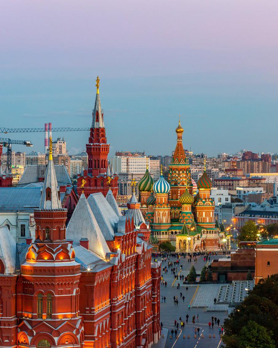 Вандалы обезглавили лошадь на Красной площади