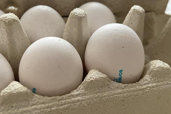 Путин извинился перед россиянами за подорожание яиц