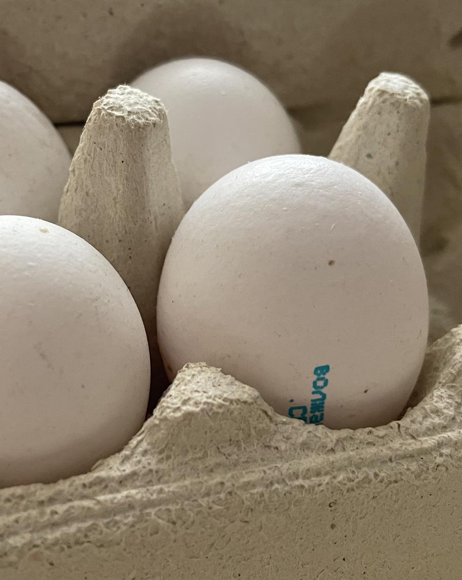 Путин извинился перед россиянами за подорожание яиц