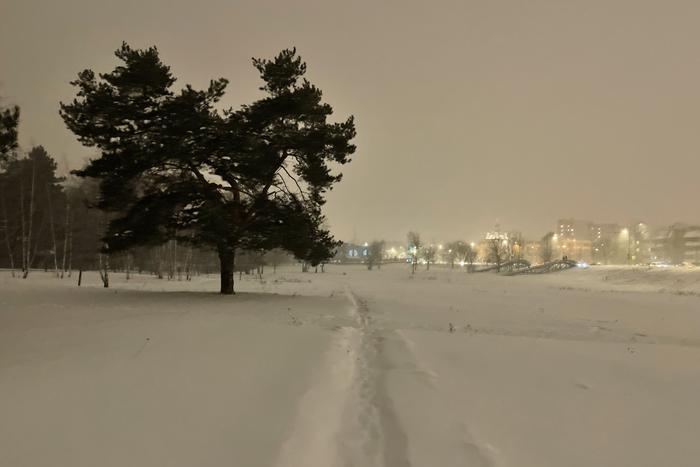 Жителям Москвы и Подмосковья рассказали о погоде в эту пятницу