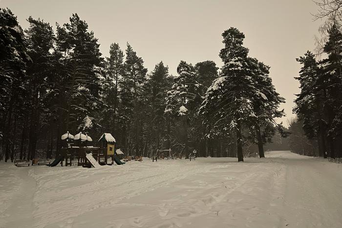 В Москве выпала пятая часть от месячной нормы осадков