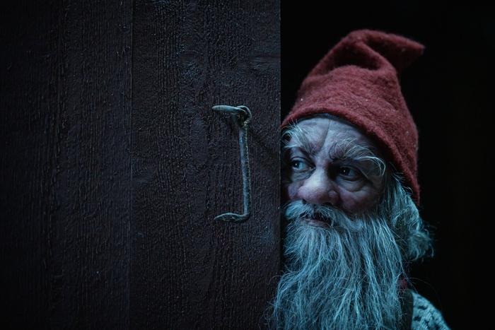 Норвежские гномы ждут вкусных американских печенек