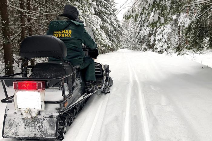 Лесоохрана позаботилась о безопасном досуге граждан зимой