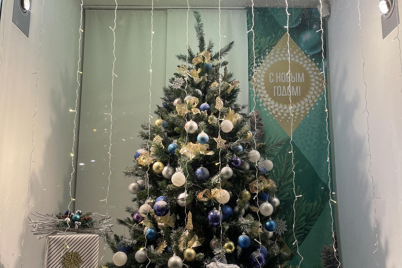 В Роспотребнадзоре рассказали, когда лучше покупать новогоднюю ёлку