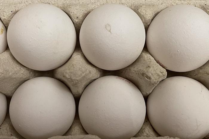 Патрушев рассказал о мерах по насыщению рынка яиц