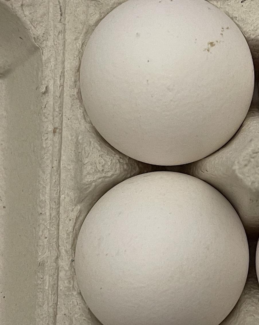 Азербайджан ввёз в Россию 36 тонн яиц