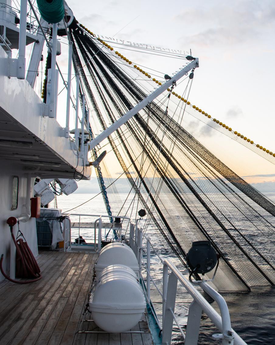 Эксперты нашли "самое забавное" в американских санкциях против российской рыбы