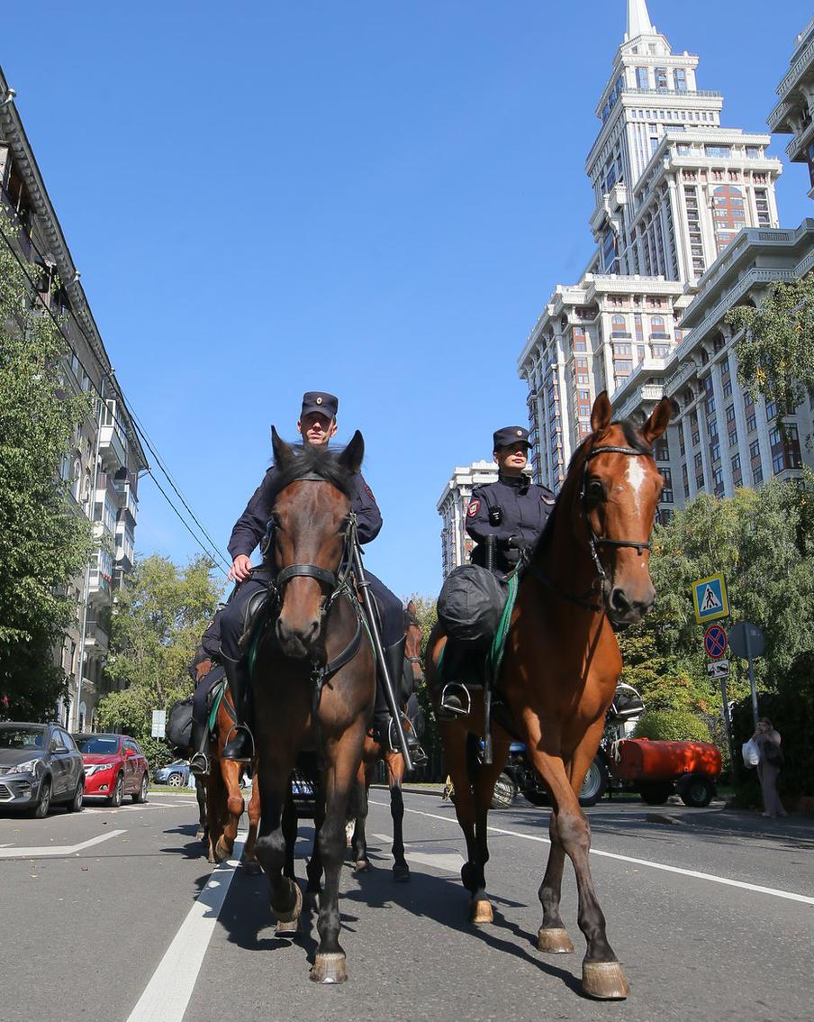 Metro отобрало лучшие фото за год: жираф Самсон, электросудно, день с конной полицией