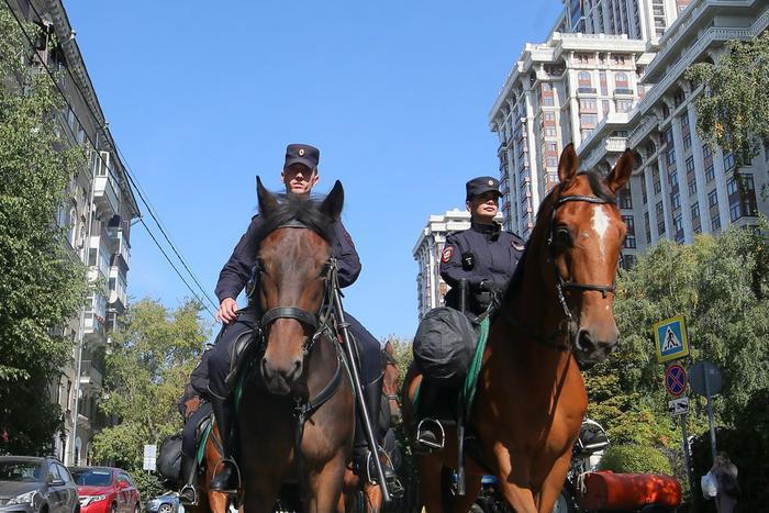 Metro отобрало лучшие фото за год: жираф Самсон, электросудно, день с конной полицией