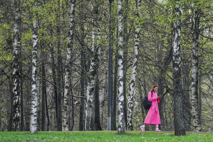 В 2023 году в столице благоустроили 80 парков и скверов