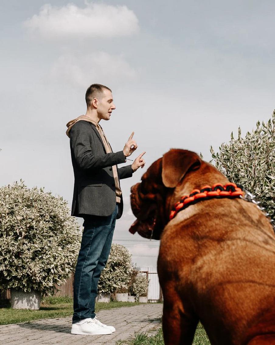 Оптимизм бедняка и пессимизм богатого спорят в новом сериале "Успешный"