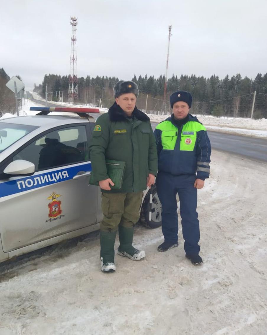 Лесничие дали рекомендацию приобретать ели к новогодним праздникам в специально отведённых местах