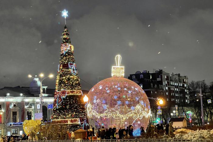 Ночь на 4 января в Москве стала самой холодной с начала зимы