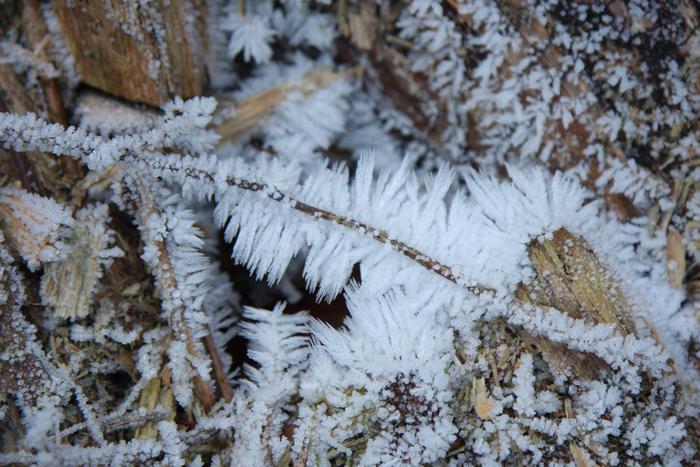 Синоптик рассказал о редком явлении в Москве из-за аномальных морозов