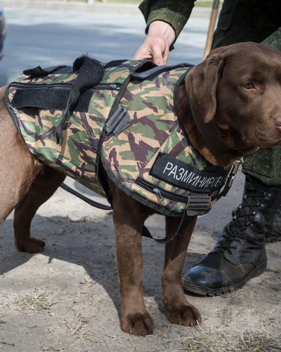 В ЛНР произошёл внештатный сход боеприпаса с самолёта российских ВКС
