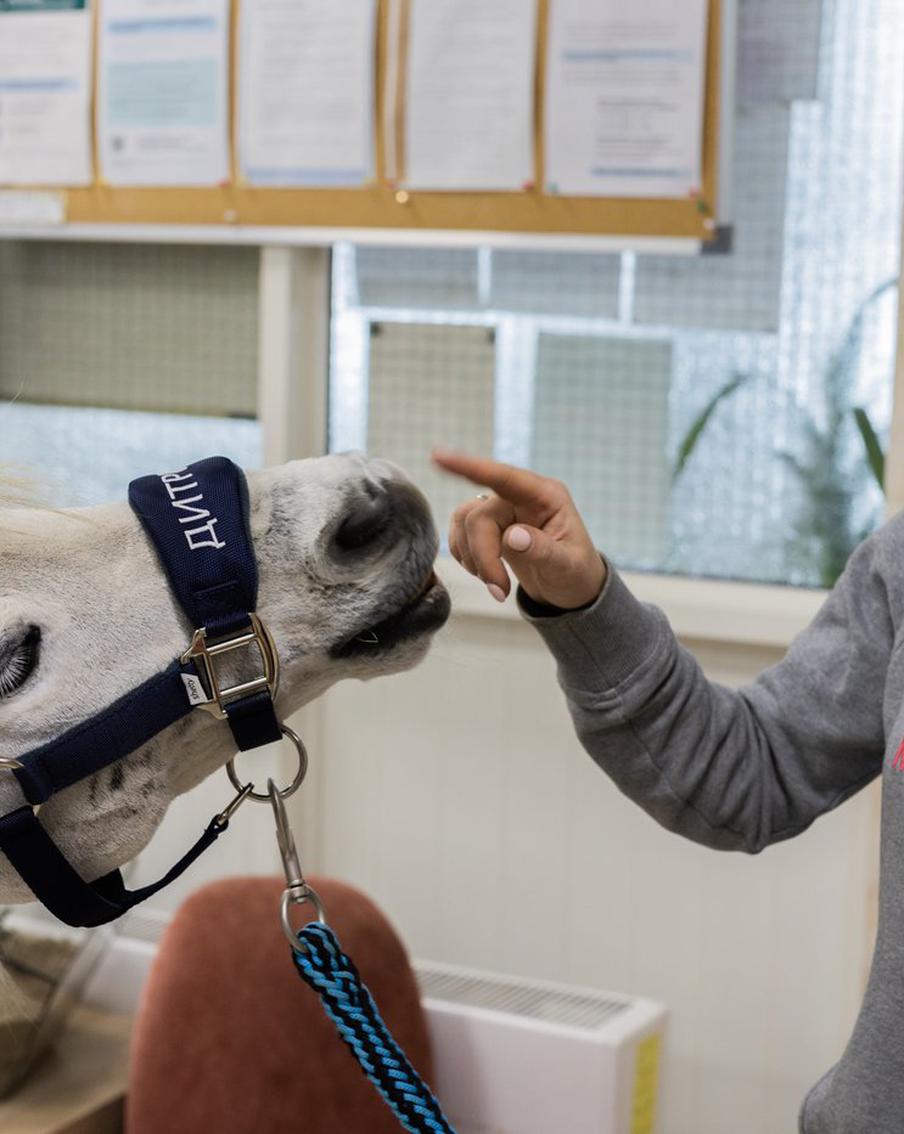 Волонтёр-пони поцеловал пациентку хосписа в щёчку