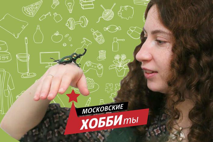 Москвичка разводит в своей квартире разноцветных африканских жуков