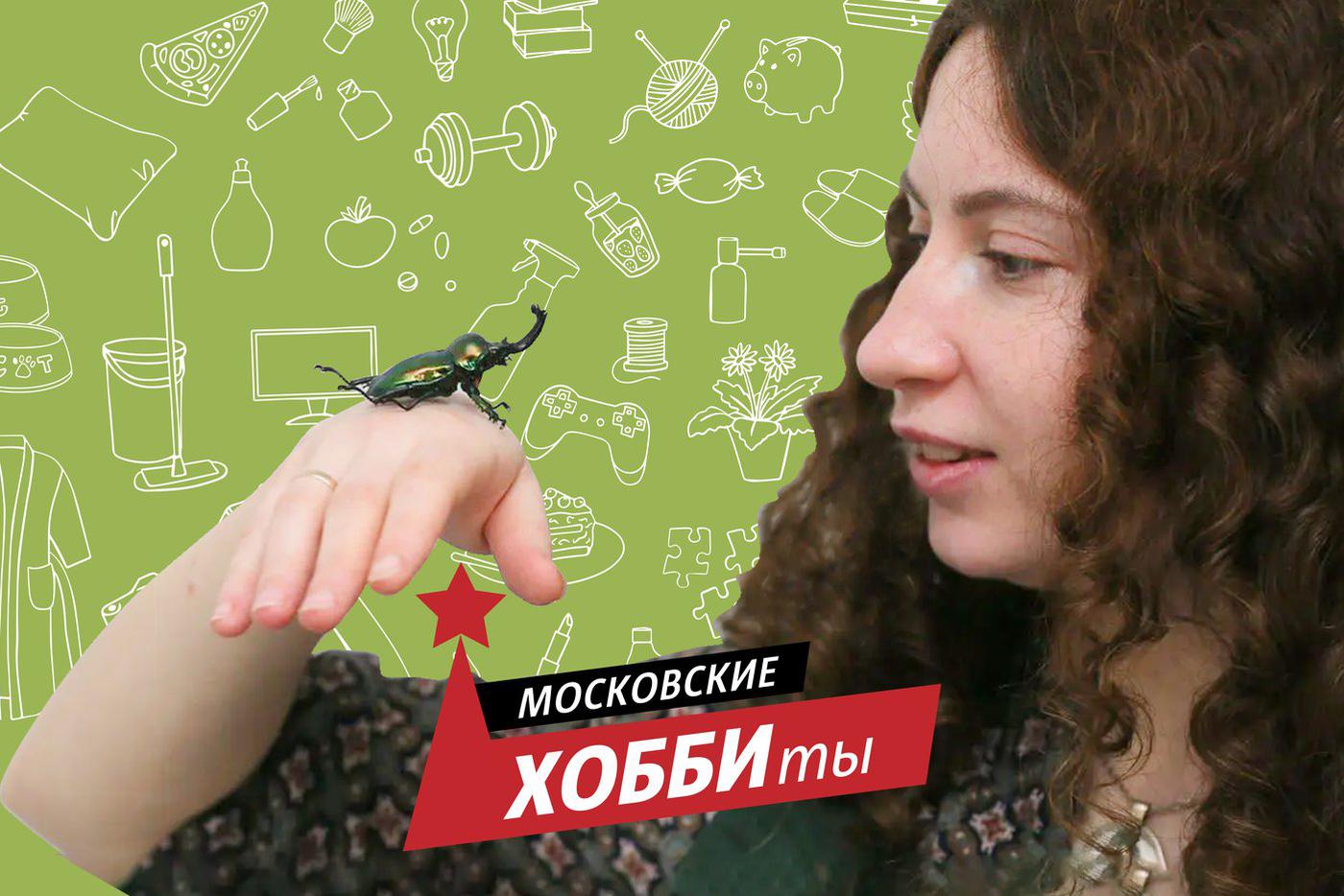 Москвичка разводит в своей квартире разноцветных африканских жуков