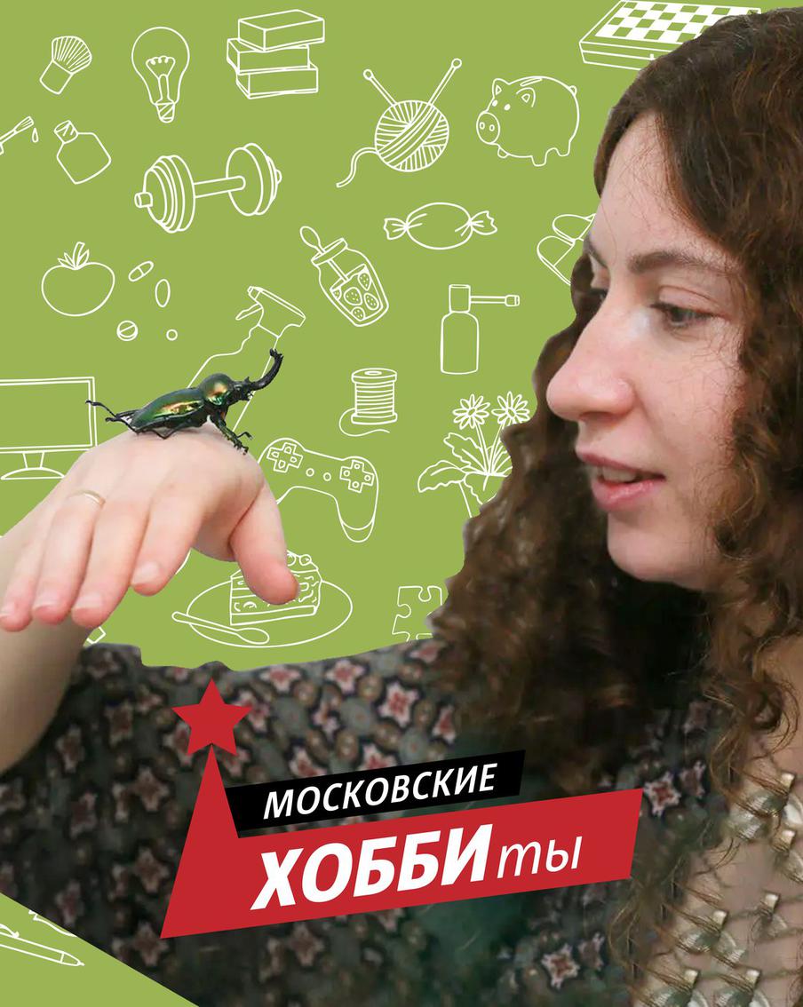 Москвичка разводит в своей квартире разноцветных африканских жуков