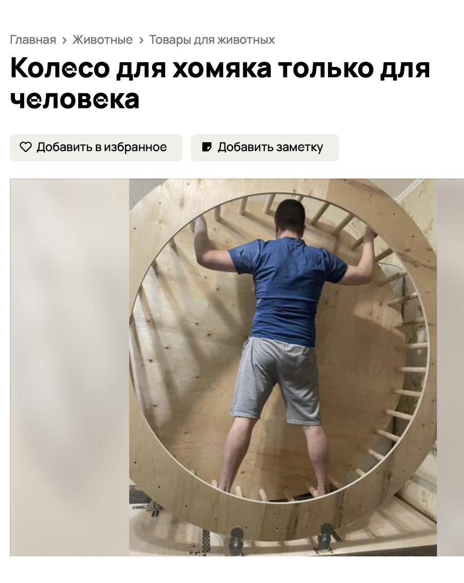 "Колесо для хомяка, только для человека": москвич продаёт свою разработку для фитнеса за 65 тысяч рублей