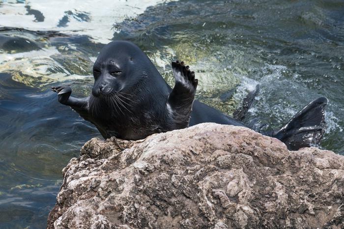 Детский врач – онколог из Москвы охотится за дикими животными по всему миру
